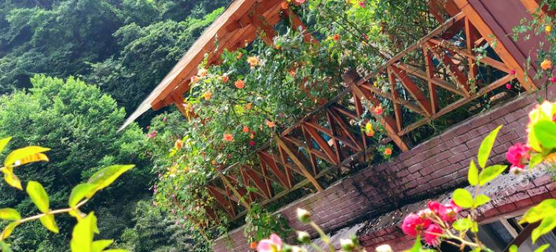 碧峰峡雲海美宿图片