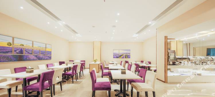 麗枫酒店(广州番禺长隆厦滘地铁站店)图片