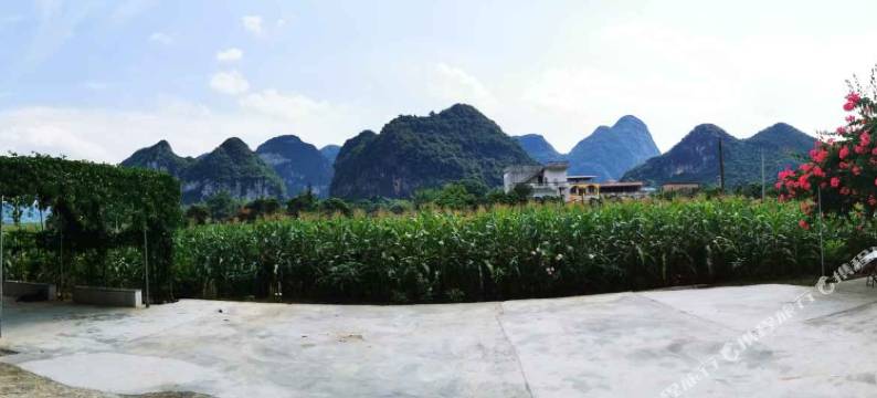 大新黑水河畔隆盛农家乐图片