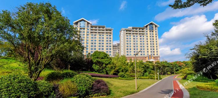 贵阳机场翼汇国际航空酒店(红飘带店)图片