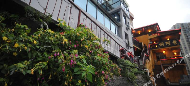 贵阳墅国际青年旅舍图片