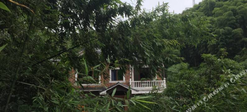 安吉子艺农家民宿图片