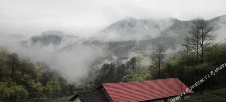 安吉回峰岭农家乐图片