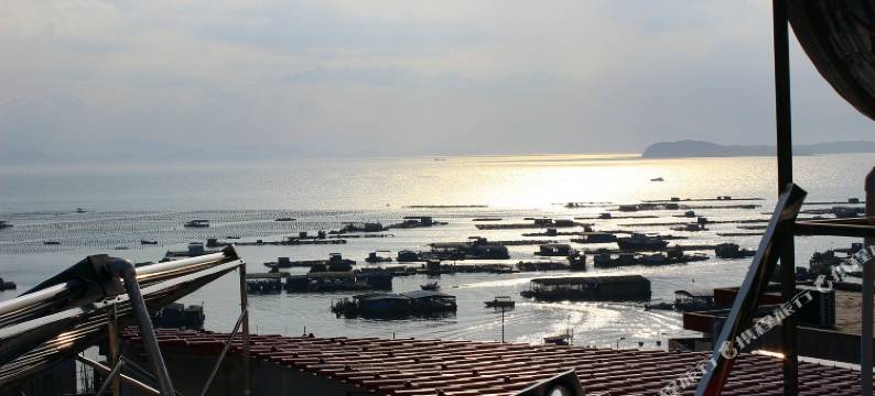 深圳后花园民宿图片