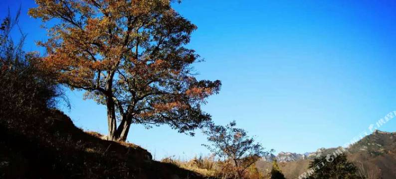 杨小艳民俗饭庄(雾灵西峰东极仙谷风景区店)图片