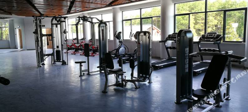 黄山维居烟草迎客松宾馆图片