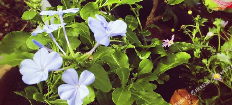 嵊泗懒懒堂民宿图片