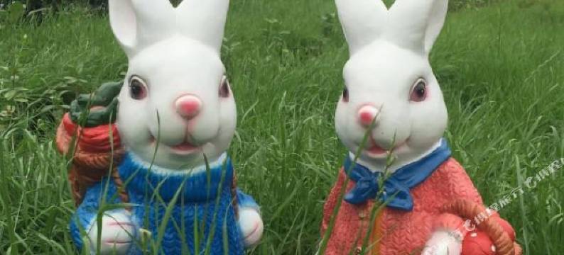 丹东桃花源生态园图片