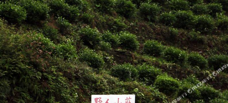 牯牛降野人山庄图片