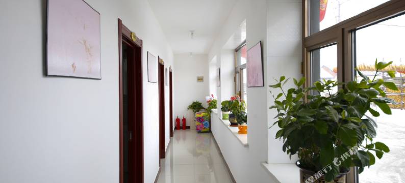 雾凇岛张羽客栈图片