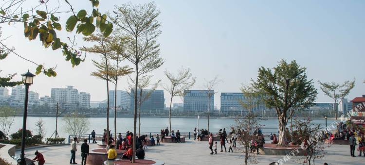 红星期公寓(厦门高崎国际机场围里店)图片