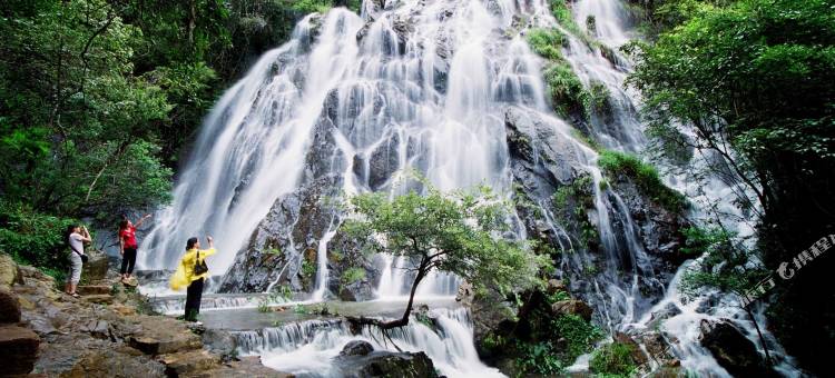 武夷山鑫星酒店(武夷山印象大红袍店)图片