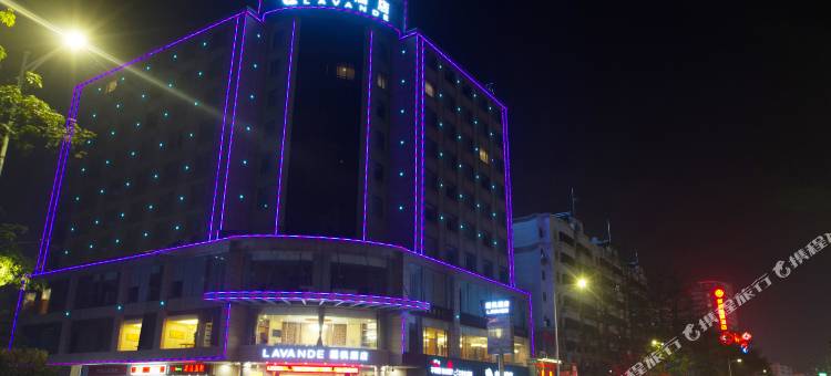 麗枫酒店(东莞南城国贸店)图片