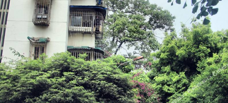 成都地铁1号线倪家桥美领馆川大旁温馨小窝普通公寓图片