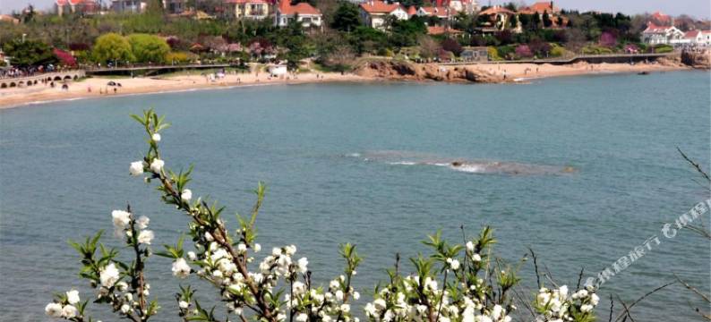 青岛八大关锦绣园图片