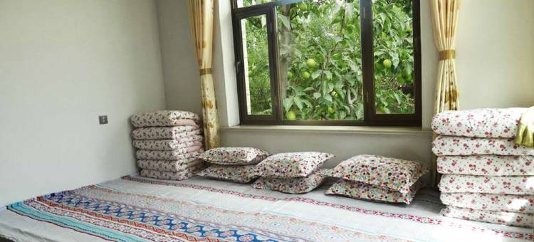 中卫金沙果寨客栈图片