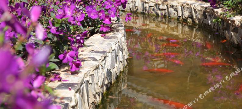 普洱斌世厚德客栈图片