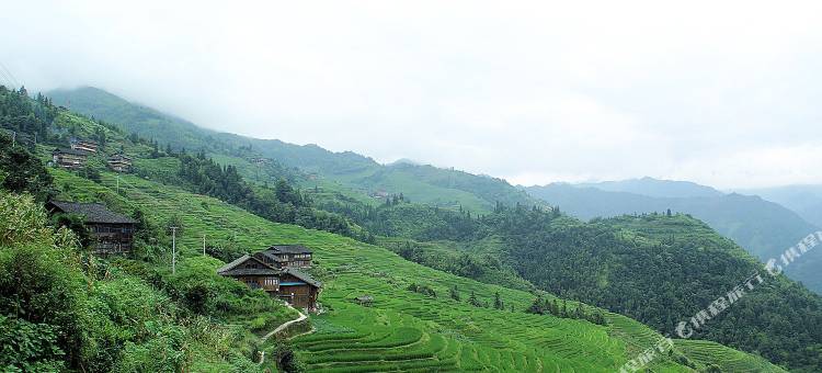 龙脊梯田乡景民宿图片