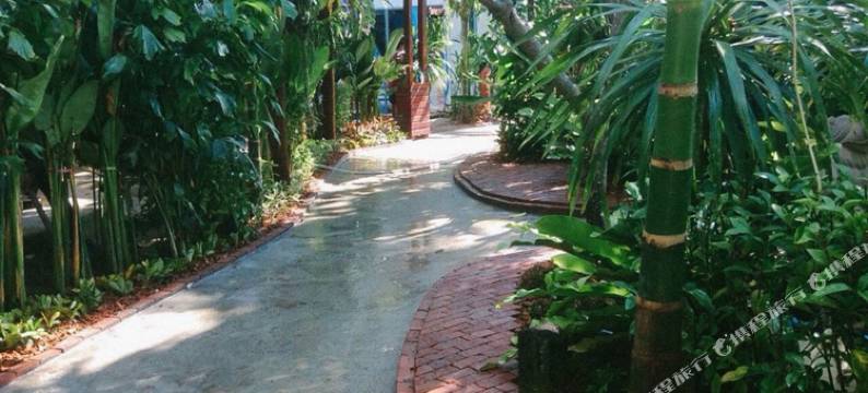 OYO585自由青年旅馆-皮皮岛(OYO 585 Freedom Hostel @ Phi Phi)图片