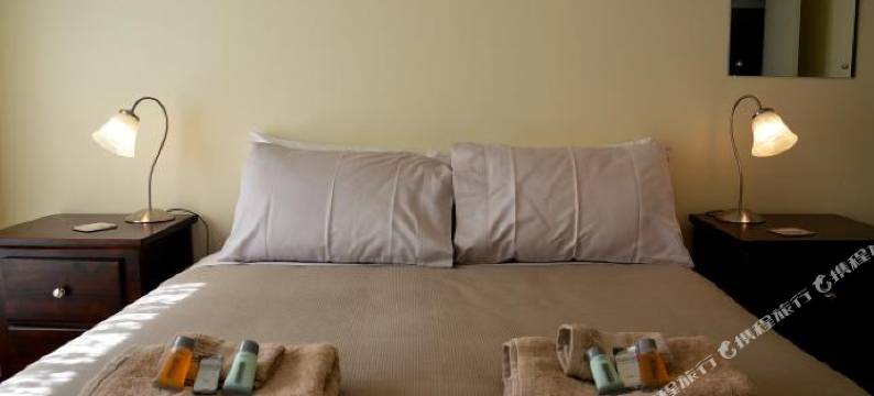 布尼亚松树(Bunya Pines)图片