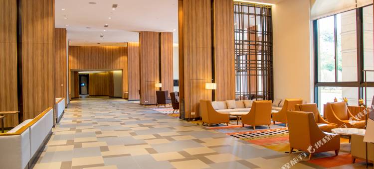 佛山里水凯悦嘉轩酒店图片