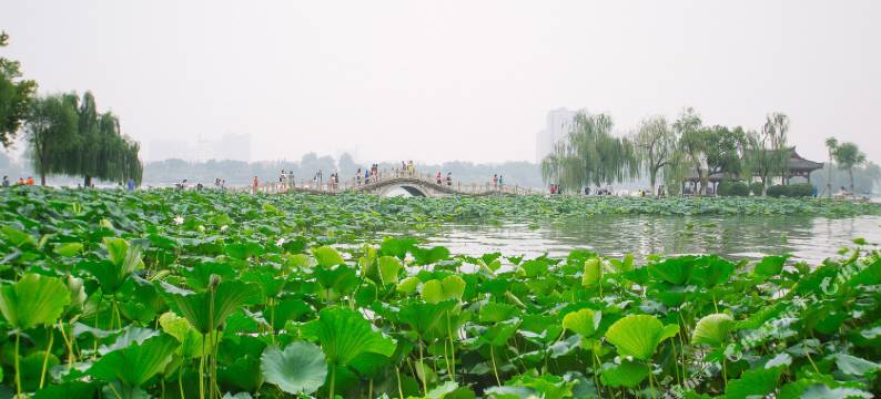 济南华府公寓图片