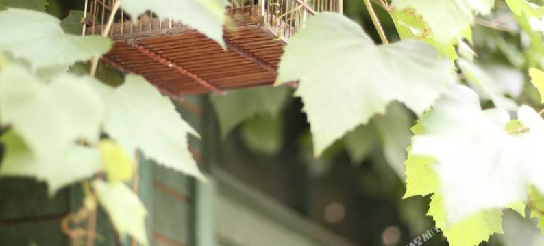 卡兹国际青年旅舍(哈尔滨中央大街店)图片