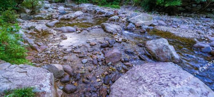 余姚蓝月亮民宿图片