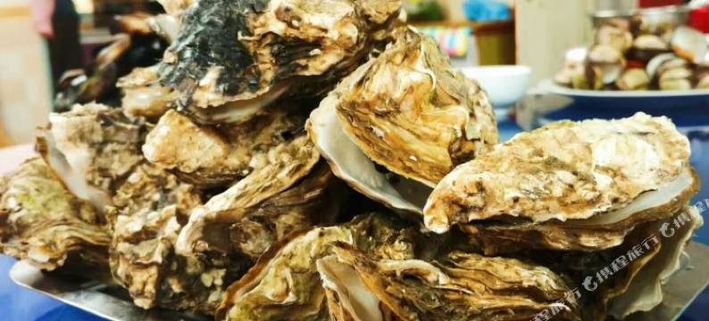 长岛爱英旅社渔家乐(鹊嘴路分店)图片