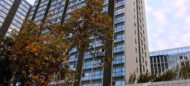 柠檬树精品酒店(苏州金鸡湖博览中心店)图片