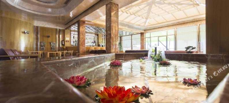 伊莎贝尔酒店(Hotel Isabel)图片