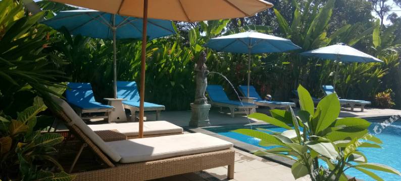 阿莫拉小屋旅馆(Amora Hut's)图片