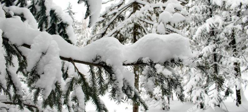 小方客栈(雪谷风景区店)图片