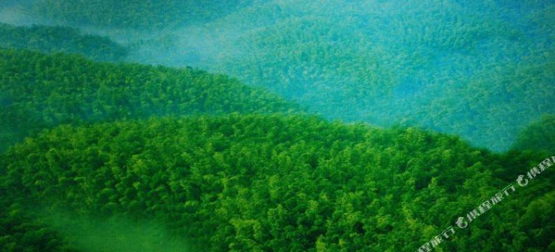 蜀南竹海竹音阁酒店图片