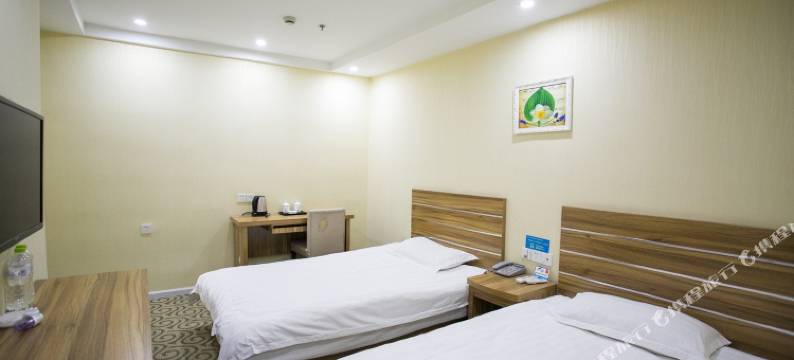 至尊概念宾馆(松阳老街店)图片