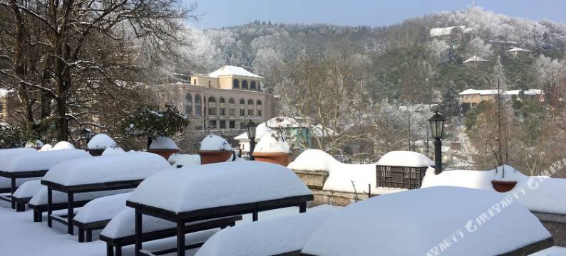 莫干山剑池山庄(莫干山风景名胜区荫山街店)图片