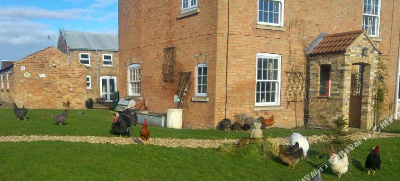 布拉姆顿达尔斯农场民宿(Brampton Dales Farm)图片