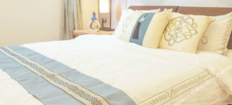 上海懒悠悠公寓(建国中路店)图片