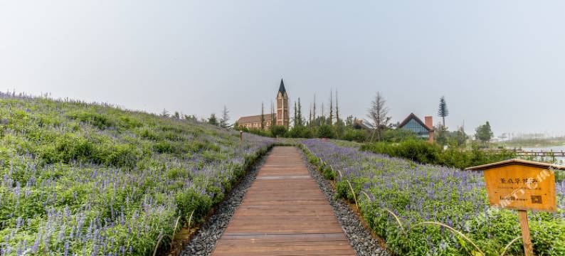 烟台龙湖葡醍海湾别墅壹号苑图片