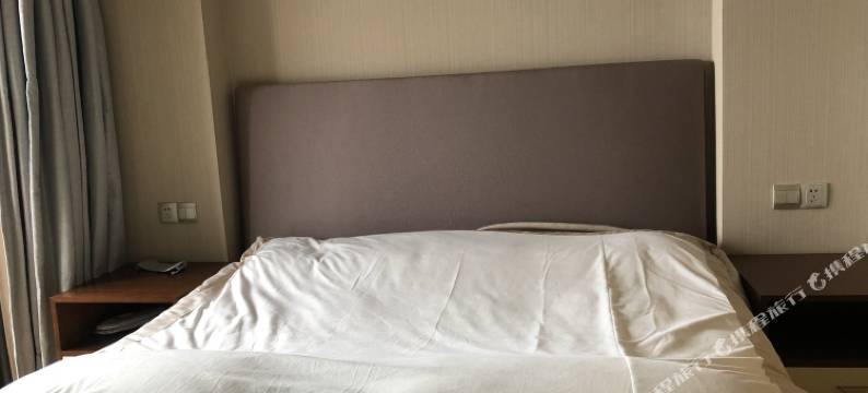 舟山老猫公寓图片