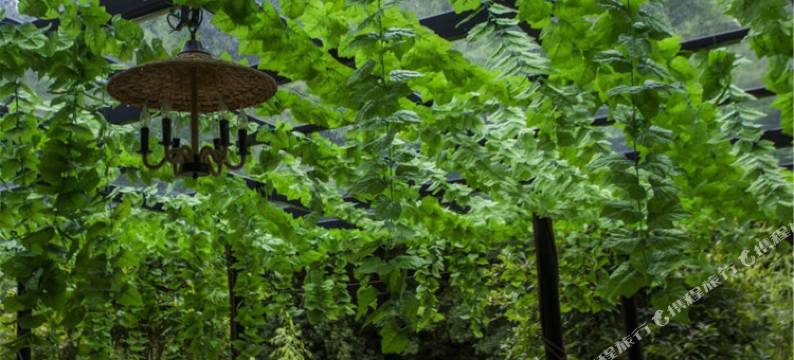 张家界印氏农家乐客栈图片