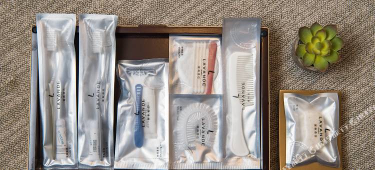 麗枫酒店(成都双流国际机场店)图片