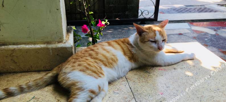 海口星花青年旅舍图片