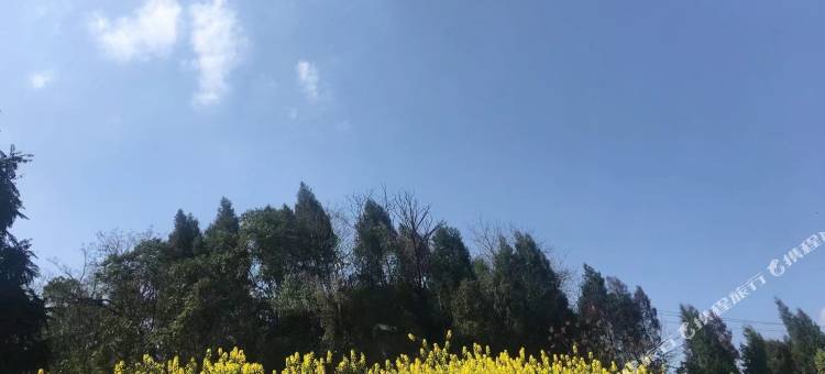 蓬溪金爵酒店图片