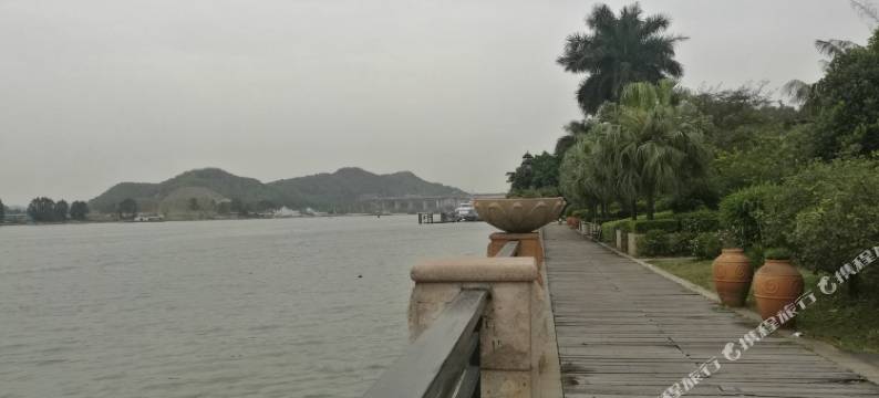 东莞盛夏的果实公寓图片