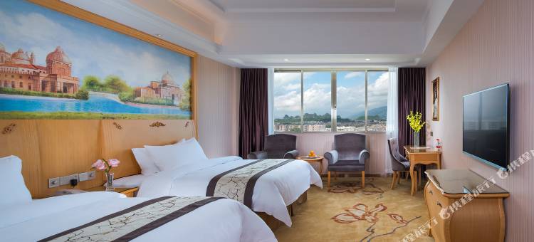 维也纳国际酒店(阳春店)图片