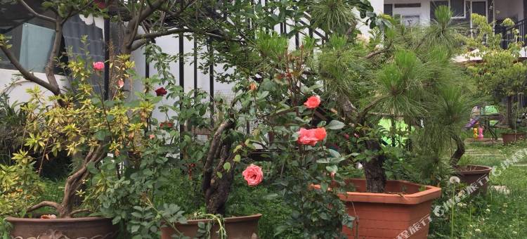 玉龙悬壶轩客栈图片