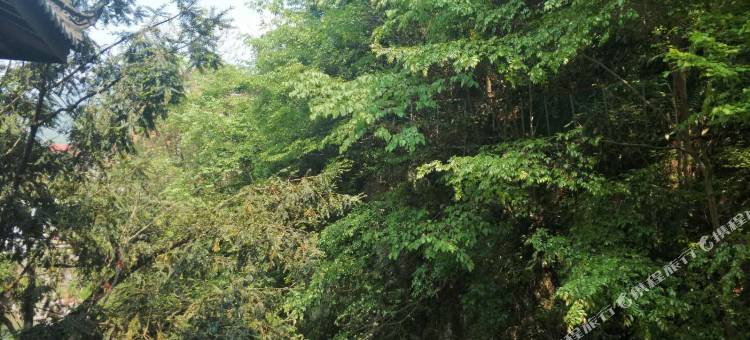 安吉红豆杉酒家(藏龙百瀑漂流店)图片