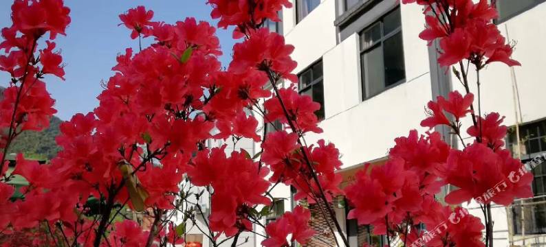 安吉听溪水森民宿图片
