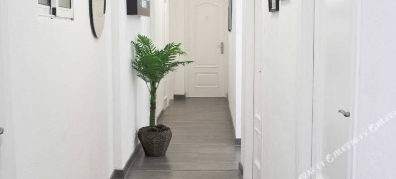 马德里民宿(La Casa Del Madrileño)图片